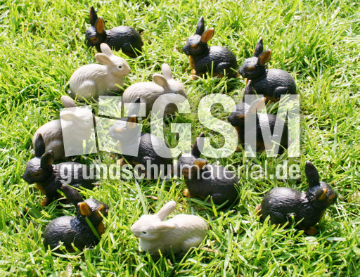 Kaninchen-4+9.jpg